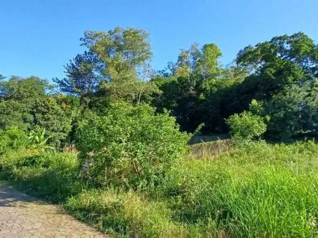 Terreno venda em Lajeado