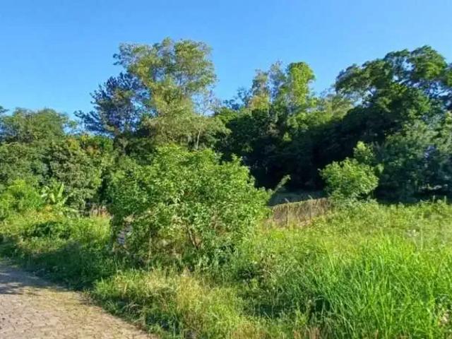 Terreno venda em Lajeado