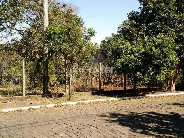Terreno venda em Região Geográfica Imediata de Lajeado, Lajeado