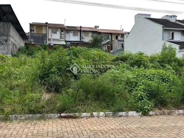 Terreno venda em Região Geográfica Imediata de Lajeado, Lajeado