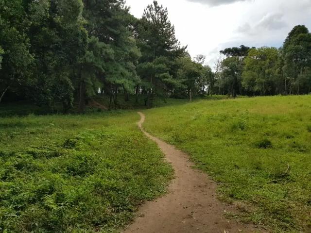 Terreno venda em Região Geográfica Imediata de Curitiba, Região Metropolitana de Curitiba