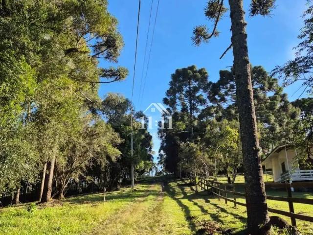 Terreno venda em Região Geográfica Imediata de Curitiba, Região Metropolitana de Curitiba