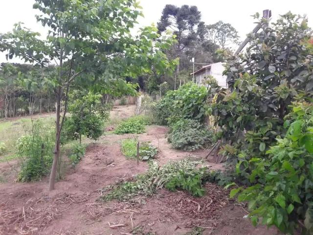 Terreno venda em Região Geográfica Imediata de Curitiba, Região Metropolitana de Curitiba