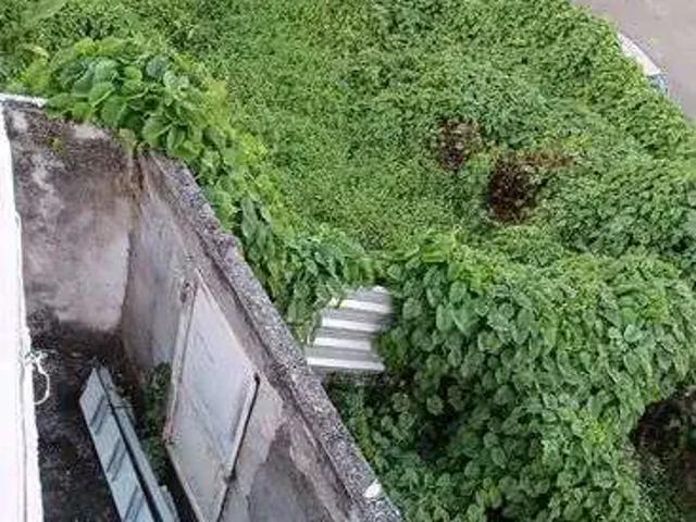 Terreno venda em Região Geográfica Imediata de Salvador, Região Metropolitana de Salvador