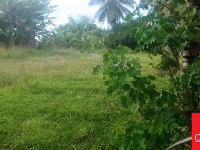 Terreno venda em Região Geográfica Imediata de Salvador, Região Metropolitana de Salvador
