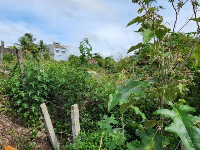 Terreno venda em Lauro de Freitas