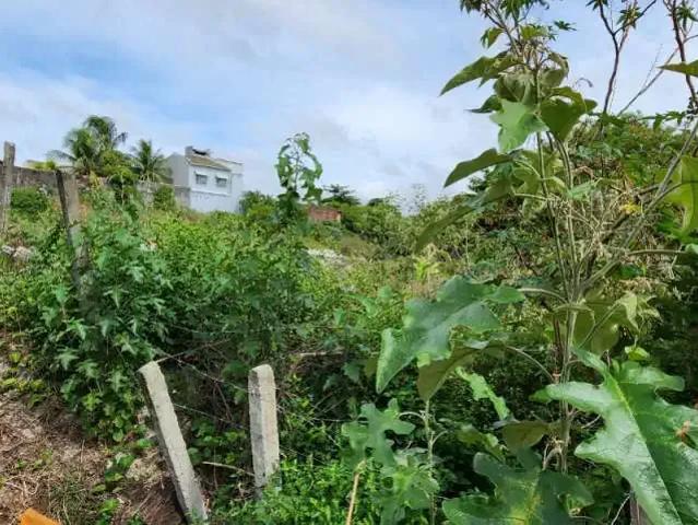 Terreno venda em Região Geográfica Imediata de Salvador, Região Metropolitana de Salvador