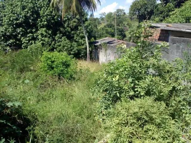 Terreno venda em Lauro de Freitas, Região Geográfica Intermediária de Salvador