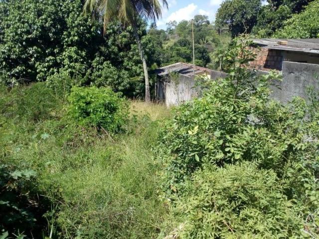 Terreno venda em Lauro de Freitas, Região Geográfica Intermediária de Salvador