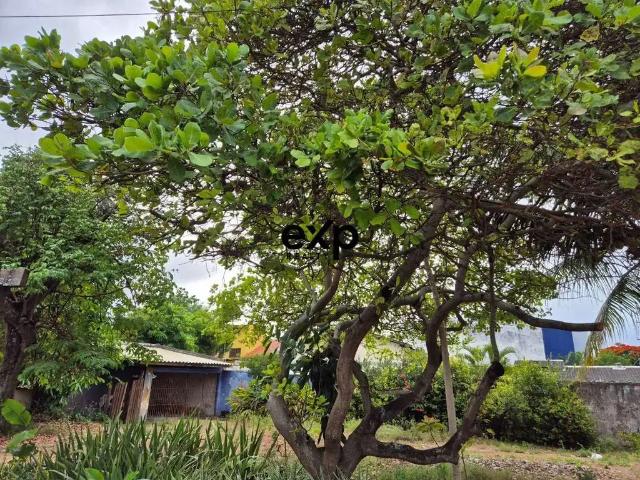Terreno venda em Região Geográfica Imediata de Salvador, Região Metropolitana de Salvador