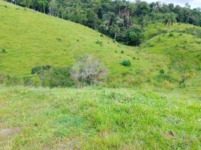 Terreno venda em Região Geográfica Imediata de Criciúma, Lauro Müller