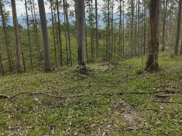 Terreno venda em Região Geográfica Imediata de Criciúma, Lauro Müller