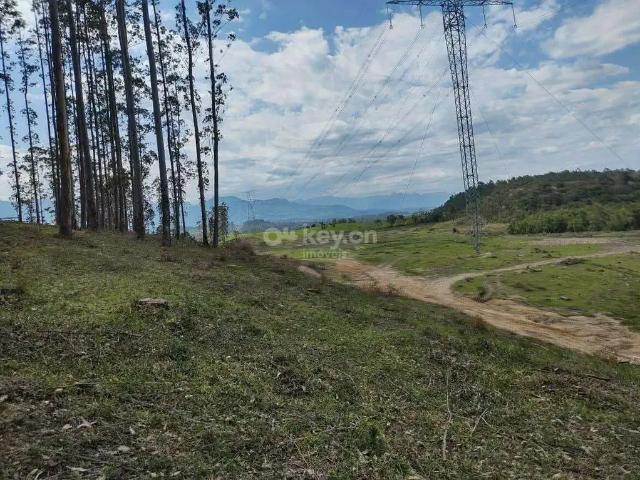 Terreno venda em Região Geográfica Imediata de Criciúma, Lauro Müller