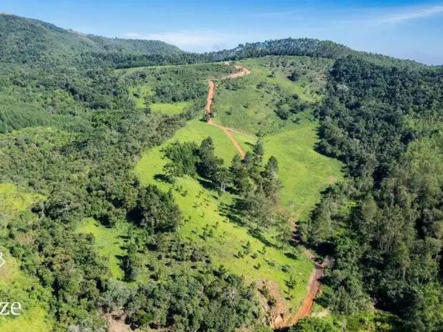 Terreno venda em Região Geográfica Imediata de Juiz de Fora, Liberdade
