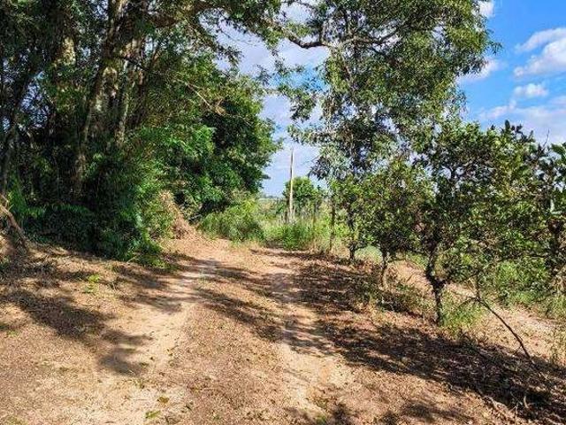 Terreno venda em Região Imediata de Limeira, Região Metropolitana de Piracicaba