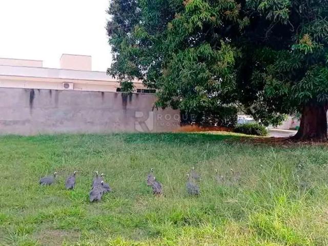 Terreno venda em Região Imediata de Limeira, Região Metropolitana de Piracicaba