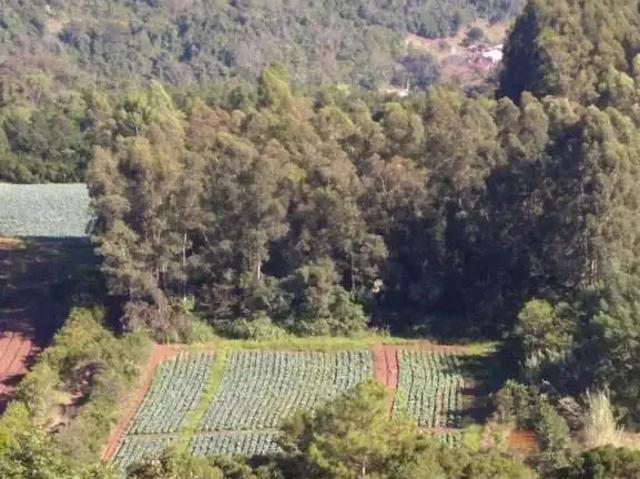 Terreno venda em Região Geográfica Imediata de Novo Hamburgo - São Leopoldo, Linha Nova