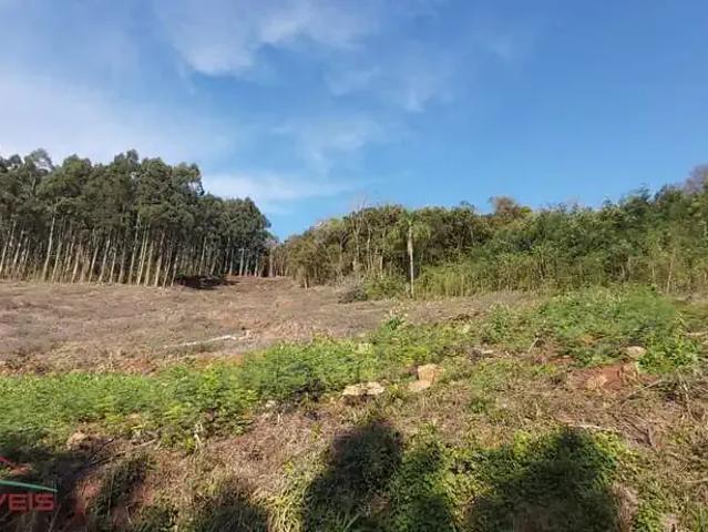 Terreno venda em Região Geográfica Imediata de Novo Hamburgo - São Leopoldo, Linha Nova