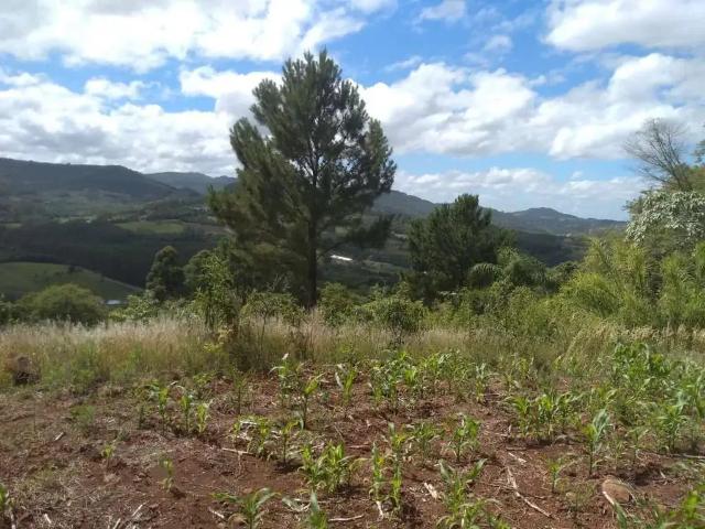 Terreno venda em Região Geográfica Imediata de Caxias do Sul, Nova Roma do Sul