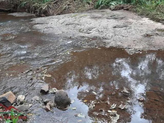 Terreno venda em Região Geográfica Imediata de Novo Hamburgo - São Leopoldo, Linha Nova