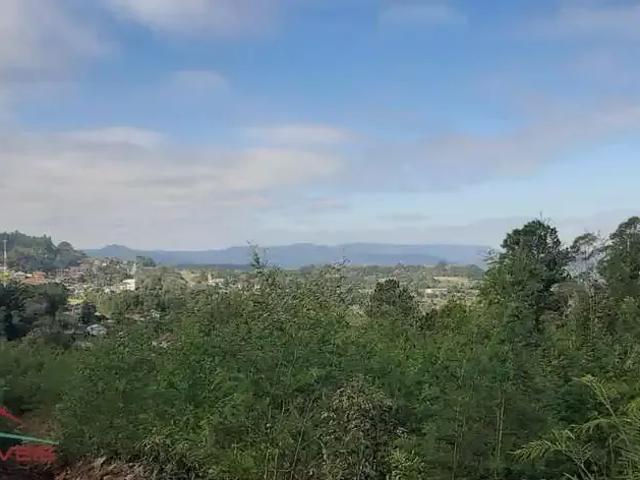 Terreno venda em Região Geográfica Imediata de Novo Hamburgo - São Leopoldo, Linha Nova