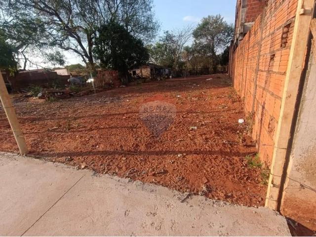 Terreno venda em Lins
