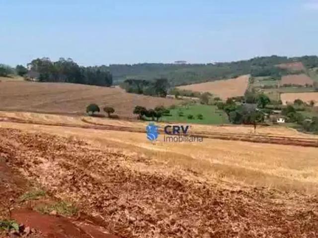 Terreno venda em Região Geográfica Imediata de Londrina, Londrina