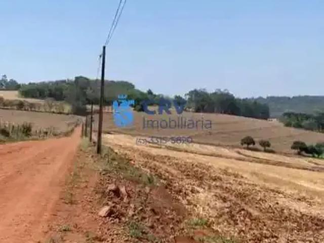 Terreno venda em Região Geográfica Imediata de Londrina, Londrina