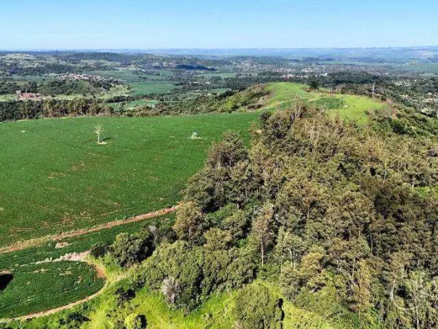Terreno venda em Região Geográfica Imediata de Londrina, Londrina