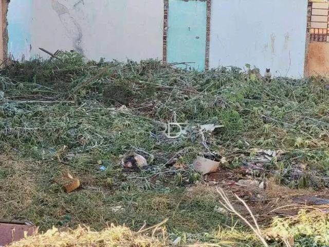 Terreno venda em Região Geográfica Imediata de Londrina, Londrina