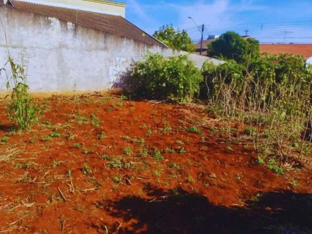 Terreno venda em Jardim Califórnia, Londrina