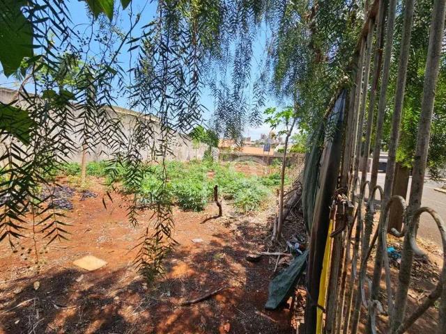 Terreno venda em Região Geográfica Imediata de Londrina, Londrina