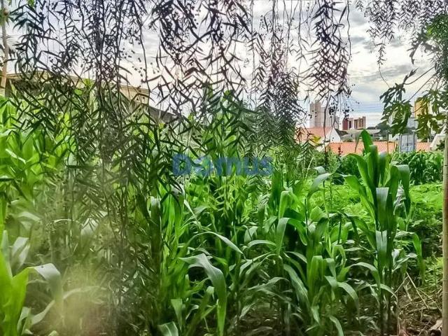 Terreno venda em Região Geográfica Imediata de Londrina, Londrina
