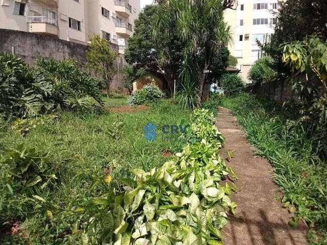 Terreno venda em Região Geográfica Imediata de Londrina, Londrina