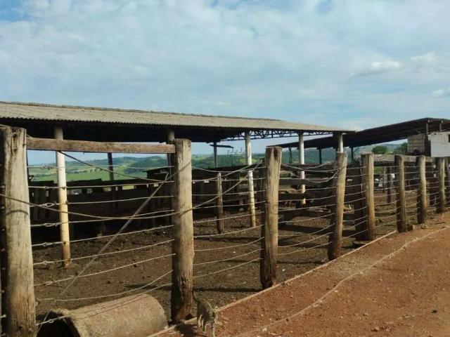 Terreno venda em Região Geográfica Imediata de Londrina, Londrina