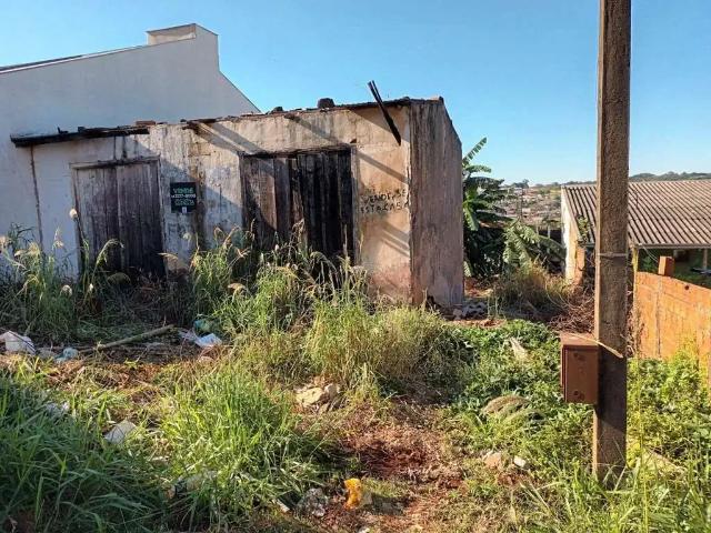 Terreno venda em Região Geográfica Imediata de Londrina, Londrina