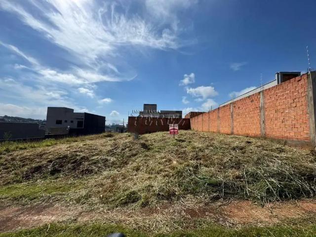 Terreno venda em Região Geográfica Imediata de Londrina, Londrina