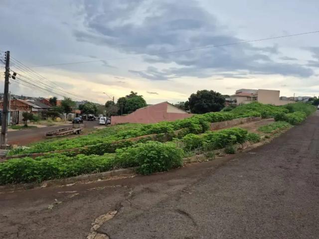 Terreno venda em Jardim Columbia, Londrina