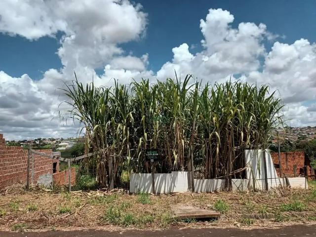 Terreno venda em Região Geográfica Imediata de Londrina, Londrina