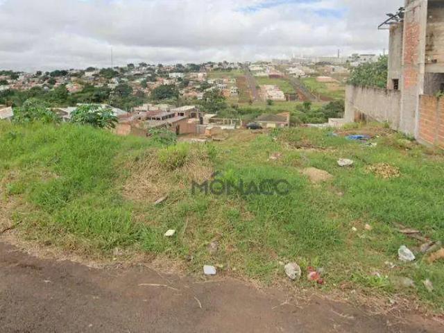 Terreno venda em Região Geográfica Imediata de Londrina, Londrina