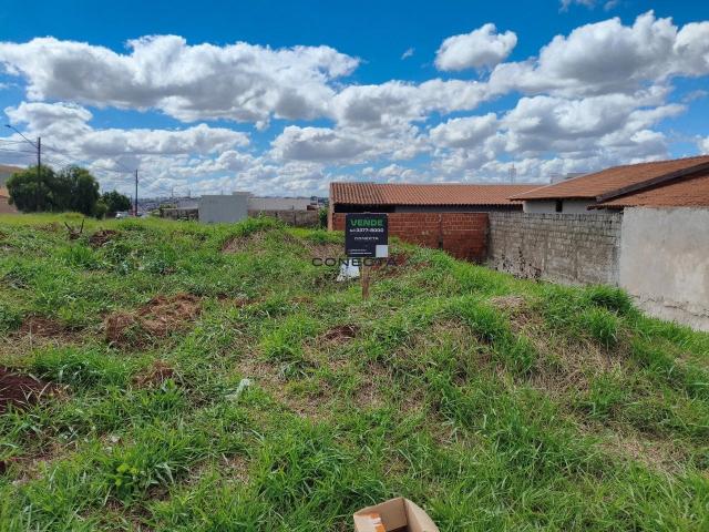 Terreno venda em Região Geográfica Imediata de Londrina, Londrina