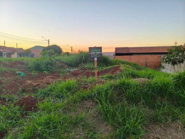 Terreno venda em Região Geográfica Imediata de Londrina, Londrina