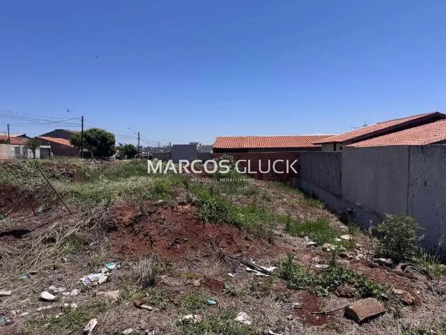 Terreno venda em Região Geográfica Imediata de Londrina, Londrina