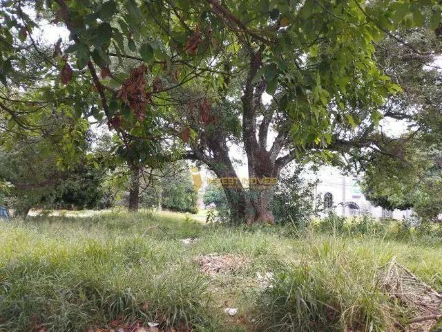 Terreno venda em Região Geográfica Imediata de Londrina, Londrina