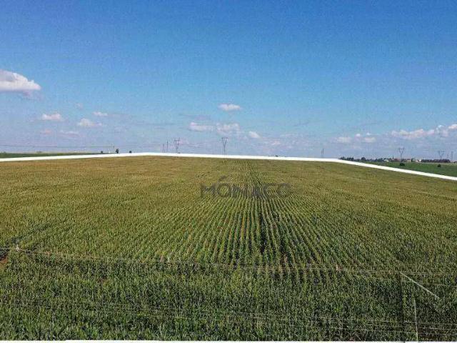 Terreno venda em Região Geográfica Imediata de Londrina, Londrina