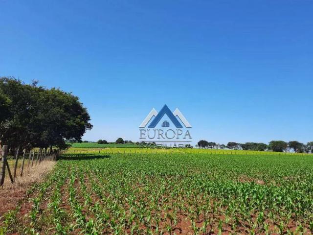 Terreno venda em Região Geográfica Imediata de Londrina, Londrina