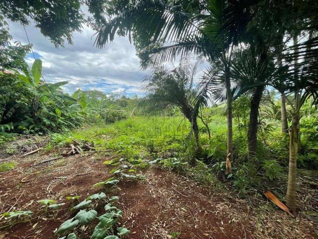 Terreno venda em Região Geográfica Imediata de Londrina, Londrina