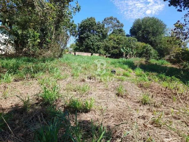 Terreno venda em Leonor, Londrina
