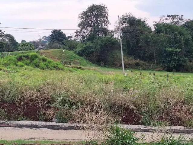 Terreno venda em Região Geográfica Imediata de Londrina, Londrina
