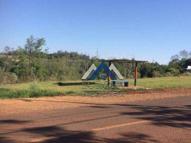 Terreno venda em Região Geográfica Imediata de Londrina, Londrina